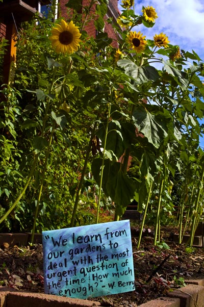 Photography by saehee for DesignCrowd (Community Contests) | Design #8968339