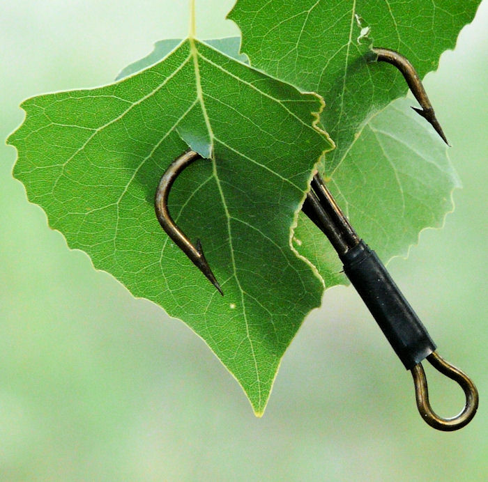 Photography by kimmee for DesignCrowd (Community Contests) | Design #8967549