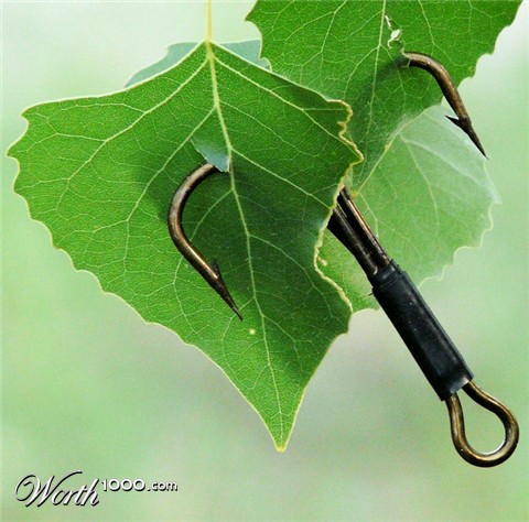 Photography by kimmee