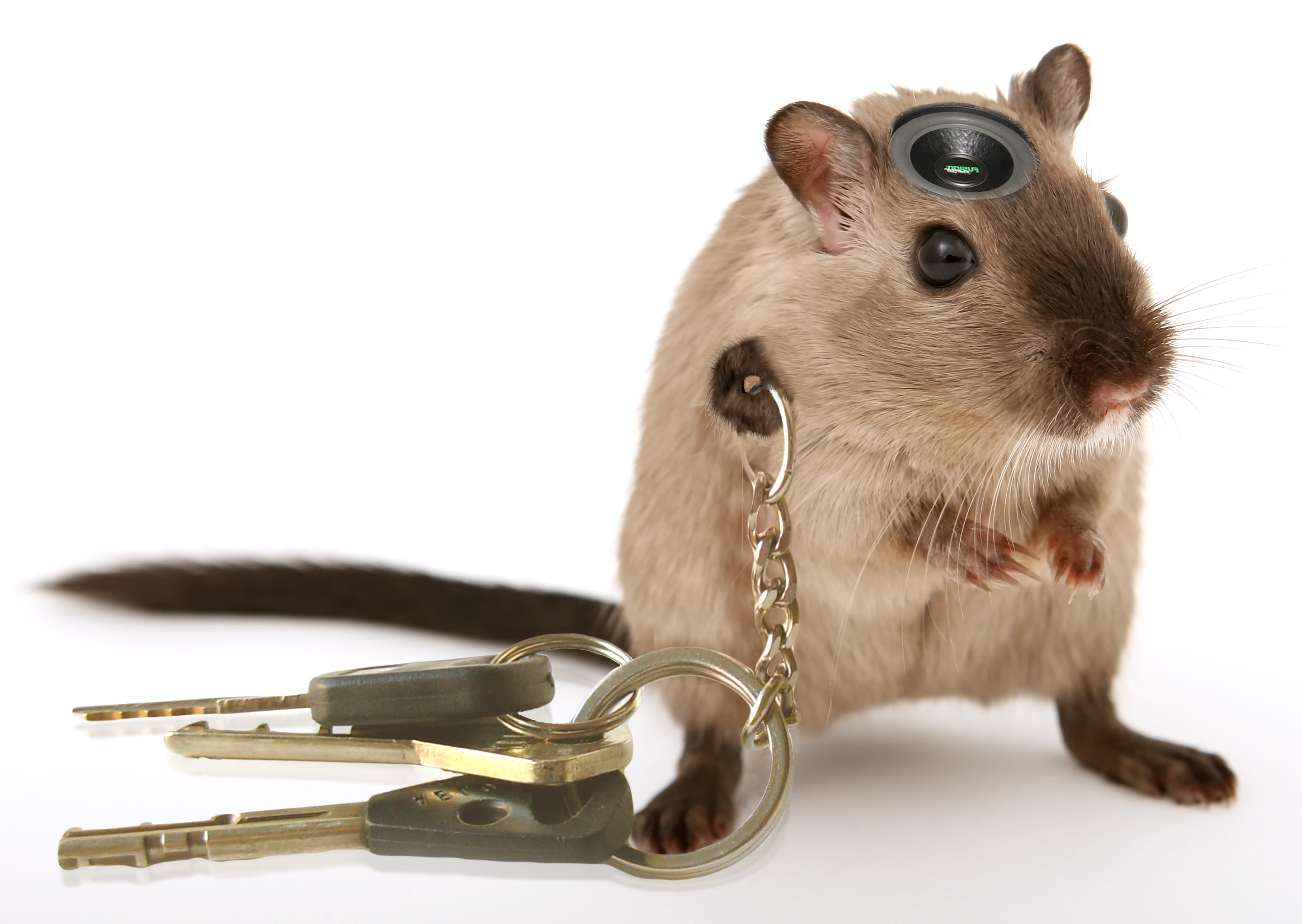 Photoshop Design by amalmansy for DesignCrowd (Community Contests) | Design #8969483