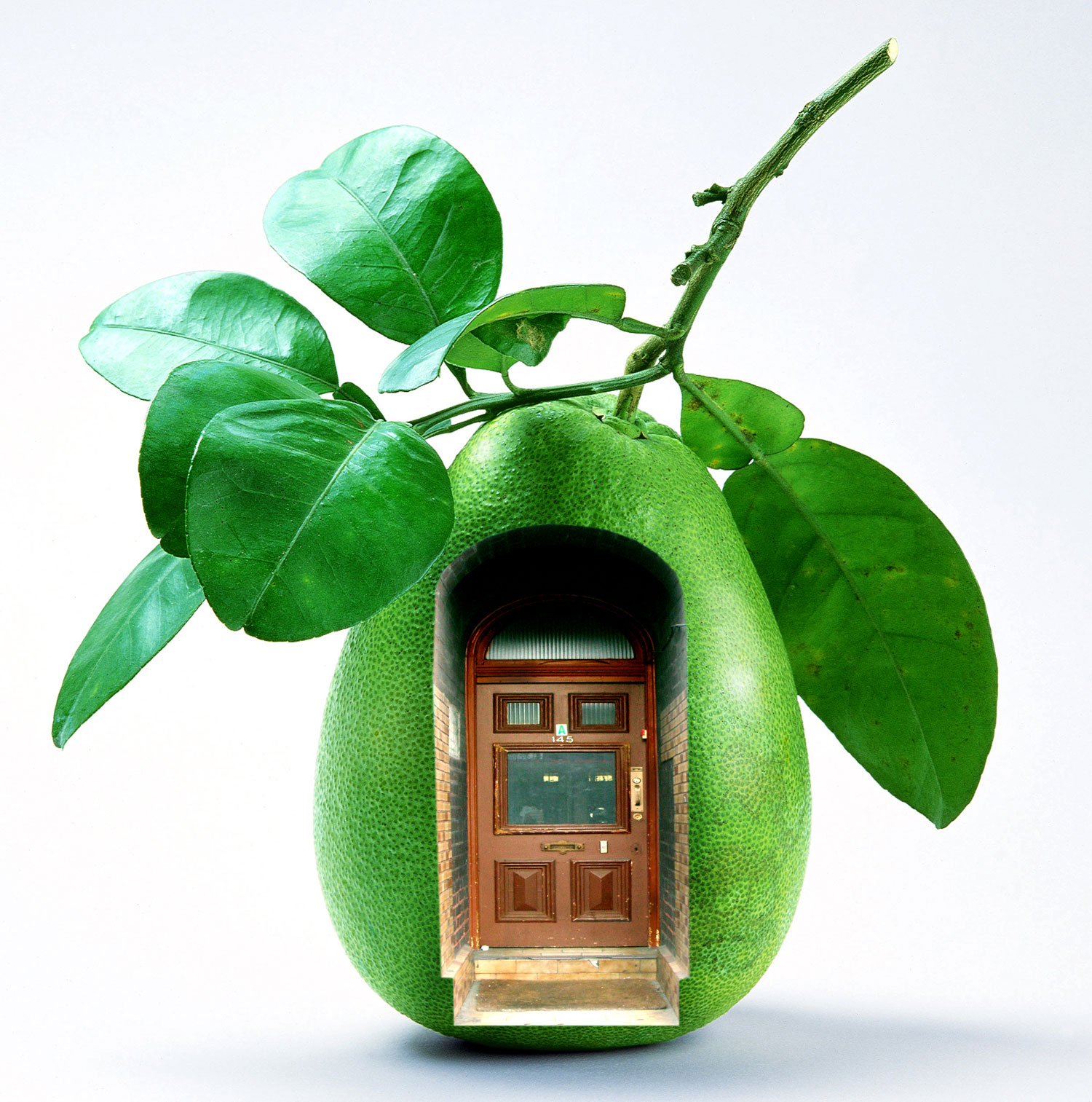 Photoshop Design by nanaztazia for DesignCrowd (Community Contests) | Design #8969121