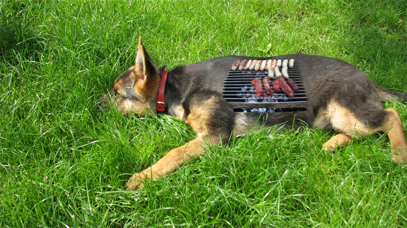 Photoshop Design by xtasyro for DesignCrowd (Community Contests) | Design #8969487