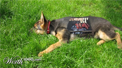 Photoshop Design by xtasyro