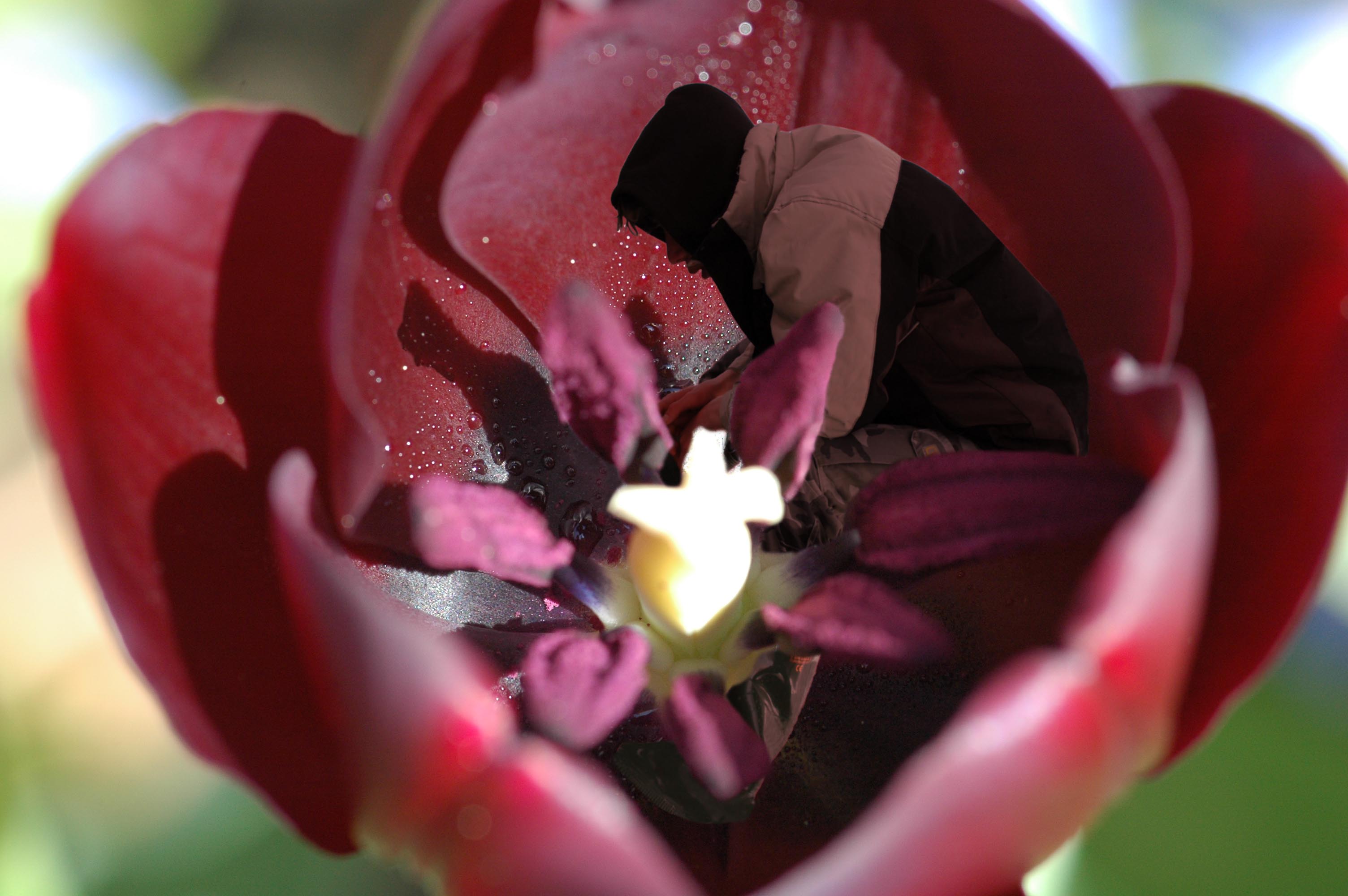 Diseño de Photoshop por MrXegli para DesignCrowd (Community Contests) | Diseño #8970327