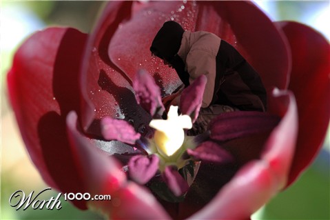 Photoshop Design by MrXegli