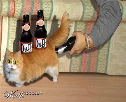 Photoshop Design by ICEBUNNY