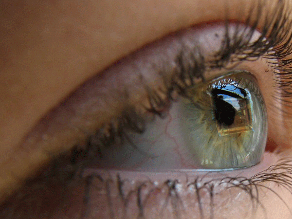 Photoshop Design by studiotexsmyth for DesignCrowd (Community Contests) | Design #8969090