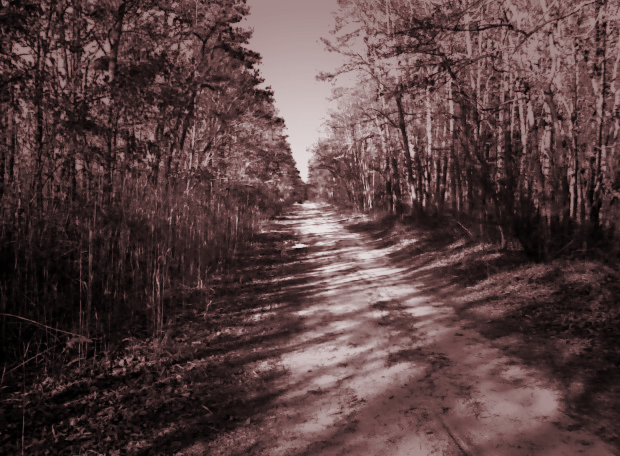 Photography by surfordream for DesignCrowd (Community Contests) | Design #8971362