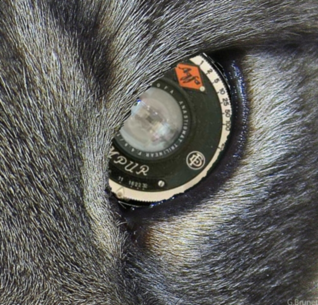 Photoshop Design by arachnico for DesignCrowd (Community Contests) | Design #8969502