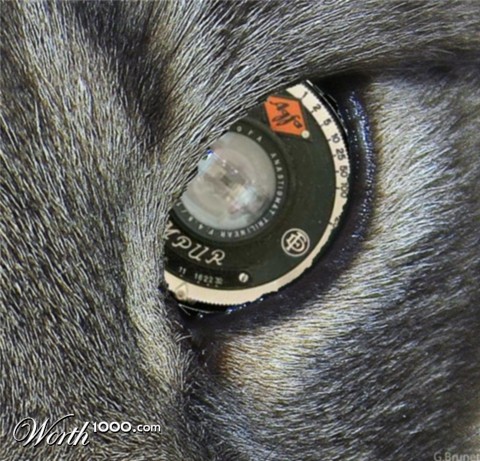 Photoshop Design by arachnico