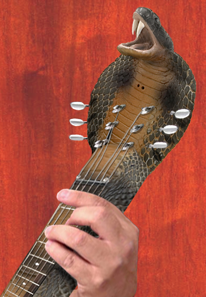 Photoshop Design by BlueHeron for DesignCrowd (Community Contests) | Design #8969499