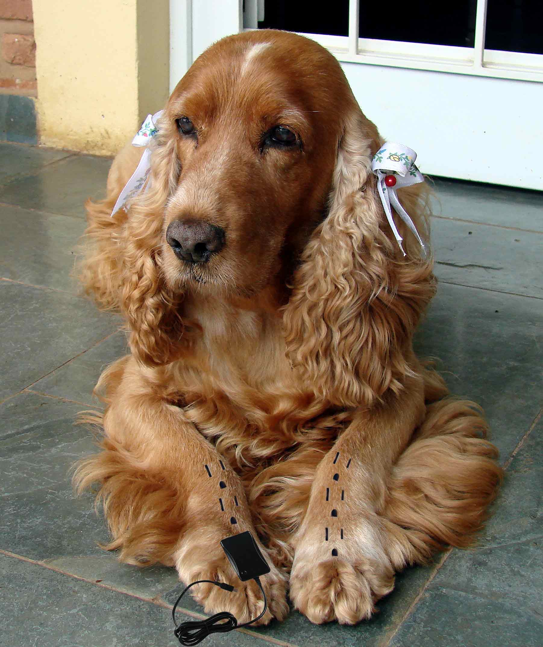 Photoshop Design by darealflow for DesignCrowd (Community Contests) | Design #8969532