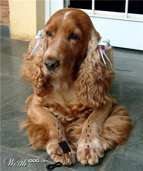 Photoshop Design by darealflow