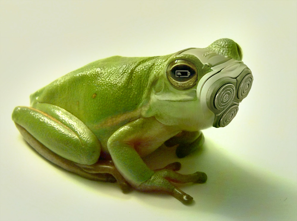 Photoshop Design by hornet83 for DesignCrowd (Community Contests) | Design #8969511