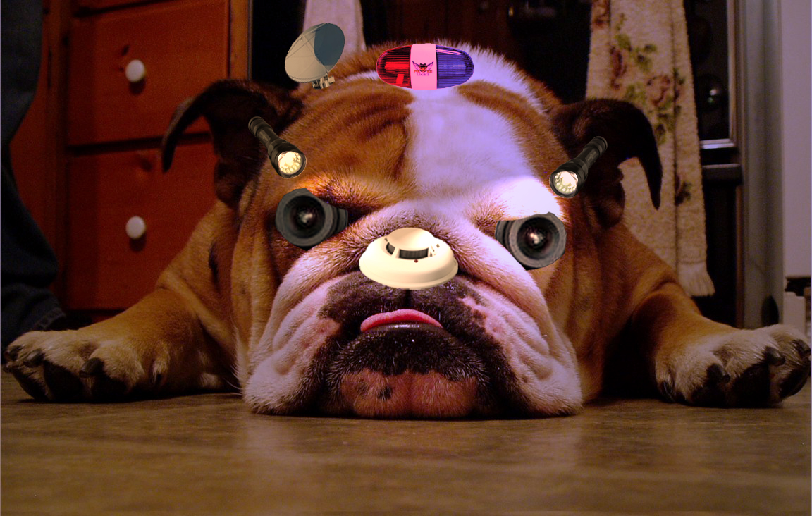 Photoshop Design by Rahulujjal140390 for DesignCrowd (Community Contests) | Design #8969523