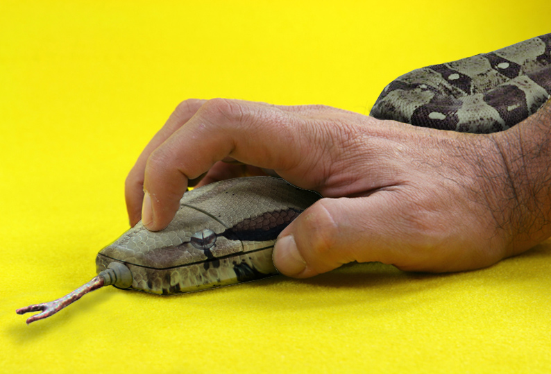 Photoshop-Design von lucimine für DesignCrowd (Community Contests) | Design #8969517