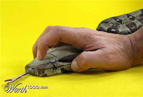 Photoshop Design by lucimine