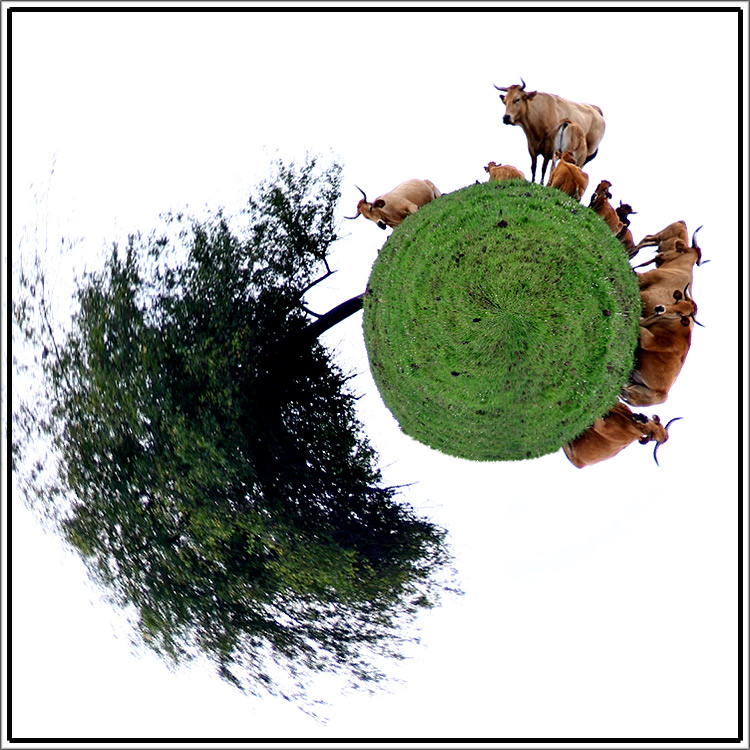 Fotografie von Jesusito für DesignCrowd (Community Contests) | Design #8966992