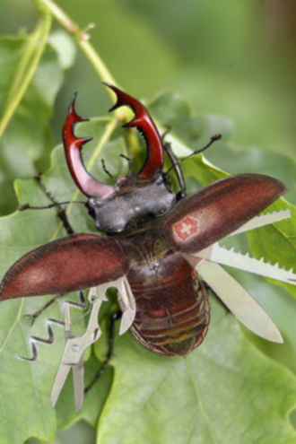 Photoshop Design by lukehenley for DesignCrowd (Community Contests) | Design #8969561