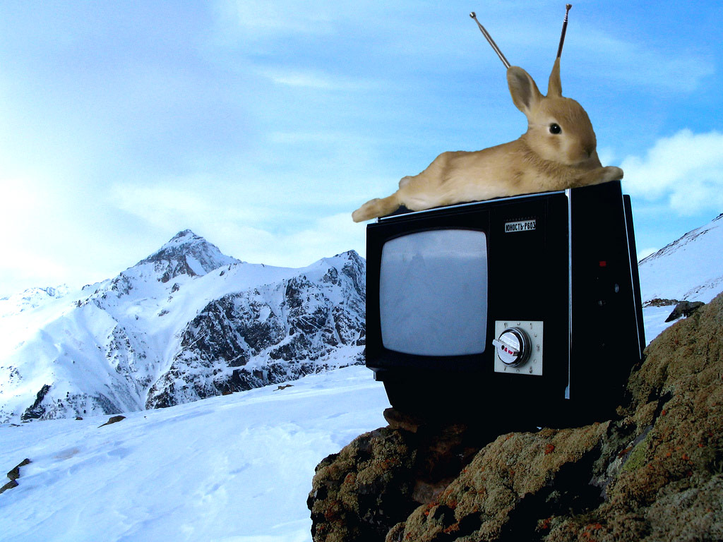 Photoshop Design by ErenaW for DesignCrowd (Community Contests) | Design #8969578