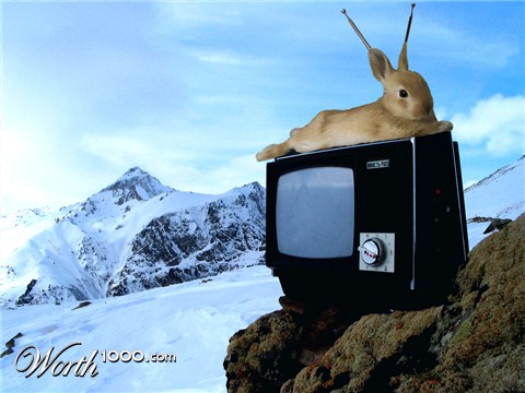 Photoshop Design by ErenaW