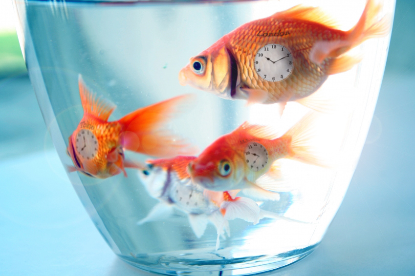 Design Photoshop par Swaggers pour DesignCrowd (Community Contests) | Design #8969573