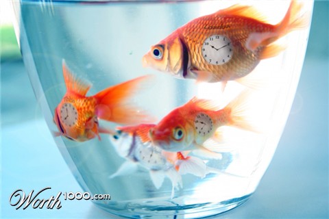 Photoshop Design by Swaggers