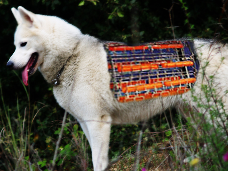 Photoshop Design by biokid for DesignCrowd (Community Contests) | Design #8969589