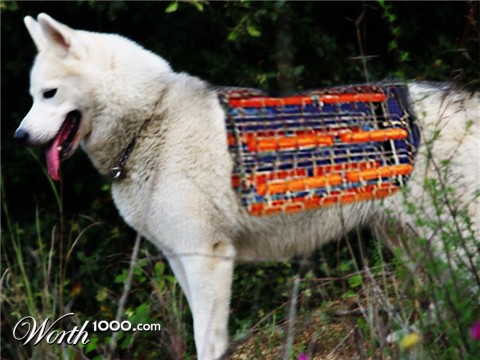 Photoshop Design by biokid