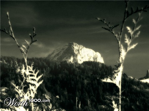 Photography by Crion