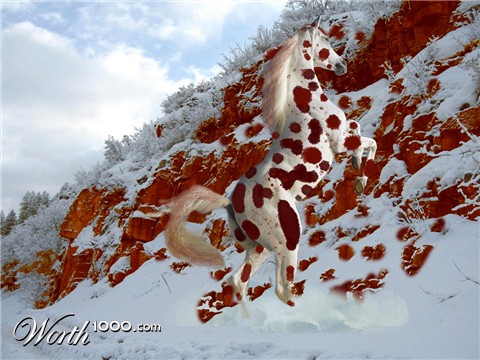 Photoshop Design by MarcSTLouis