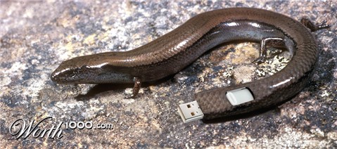 Photoshop Design by dinosaur