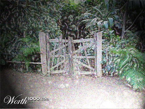 Photoshop Design by wartom