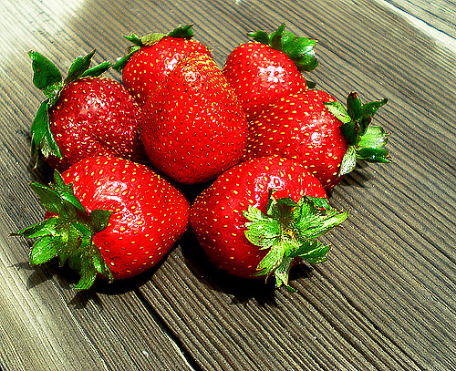 Photography by amirbse for DesignCrowd (Community Contests) | Design #8964680