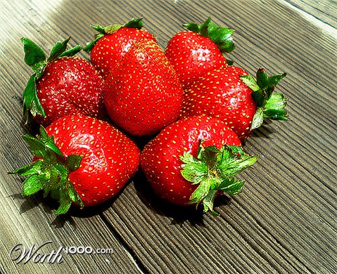 Photography by amirbse