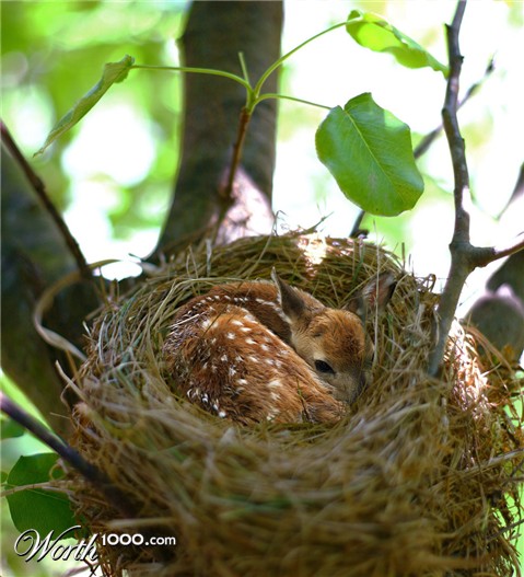 Photoshop Design by Lsgenie