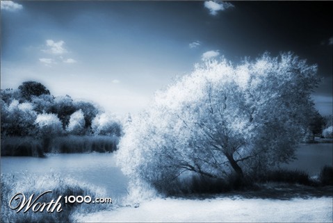 Photography by Ziaphra
