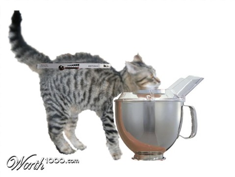 Photoshop Design by brakwaater