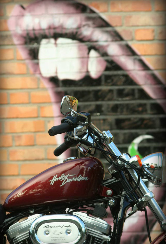 Photography by LemmyK for DesignCrowd (Community Contests) | Design #8966857