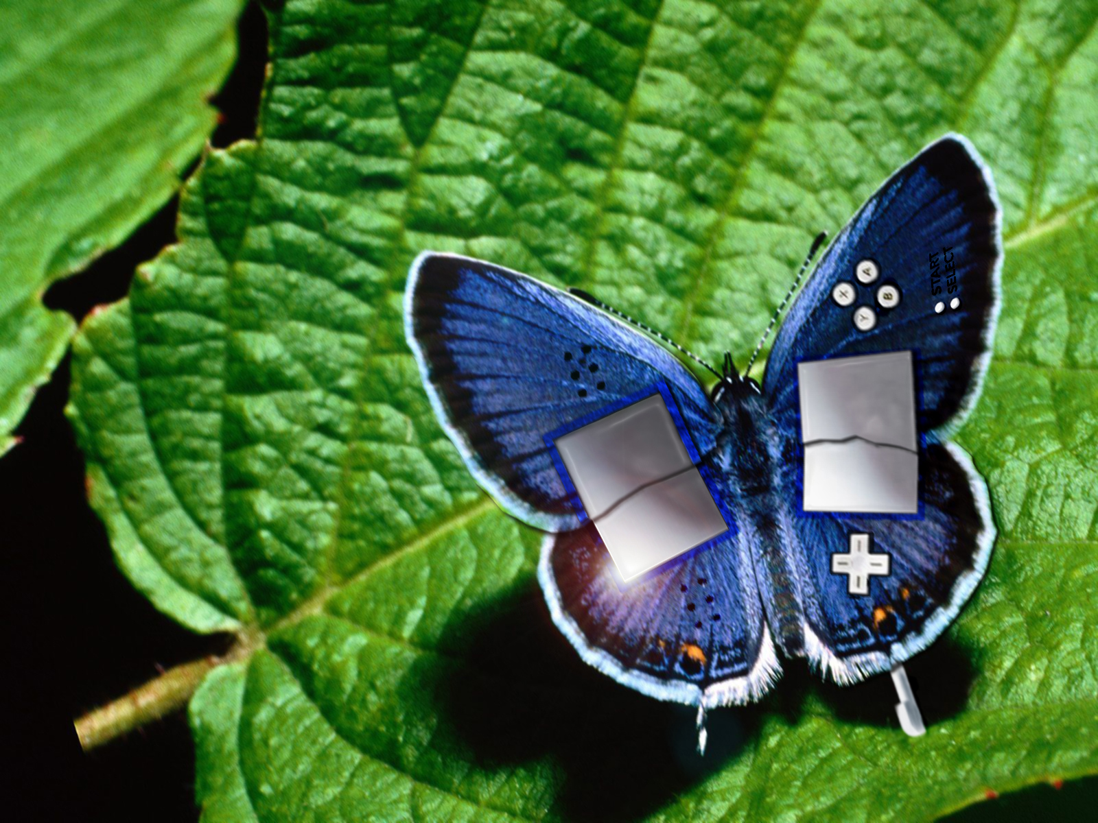 Photoshop Design by adammckenzie for DesignCrowd (Community Contests) | Design #8969615