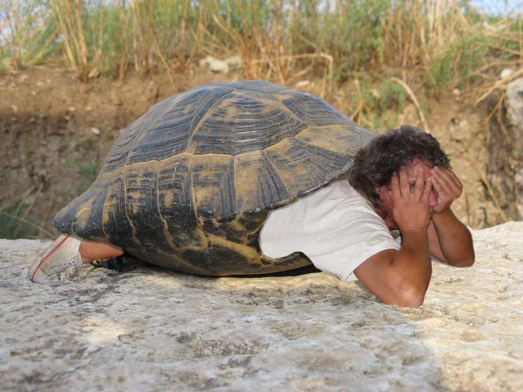 Photoshop Design by bicyclewilli for DesignCrowd (Community Contests) | Design #8970397