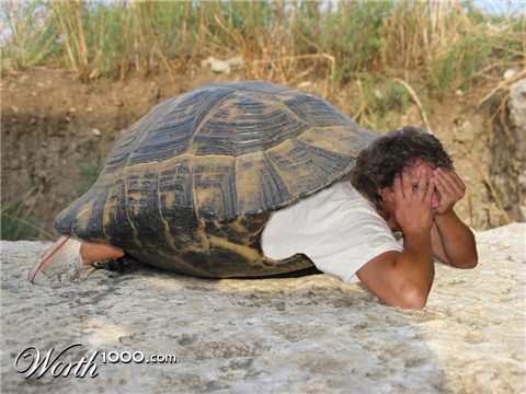 Photoshop Design by bicyclewilli