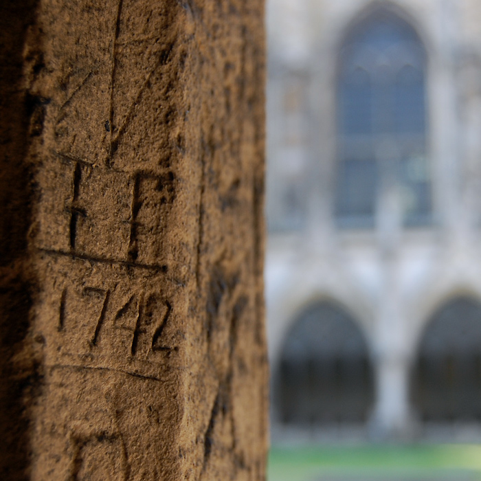 Fotografie von ms99066 für DesignCrowd (Community Contests) | Design #8967543