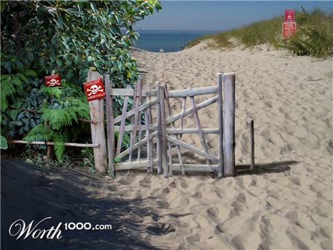 Photoshop Design by Williamson