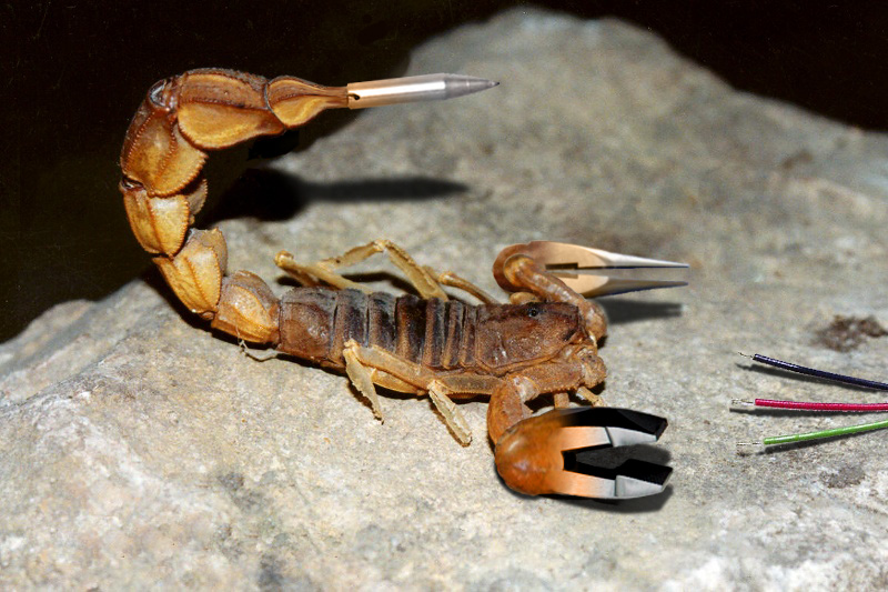 Photoshop Design by Hordenhor for DesignCrowd (Community Contests) | Design #8969680