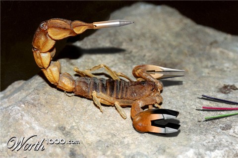 Photoshop Design by Hordenhor