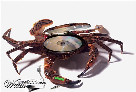 Photoshop Design by blackbook