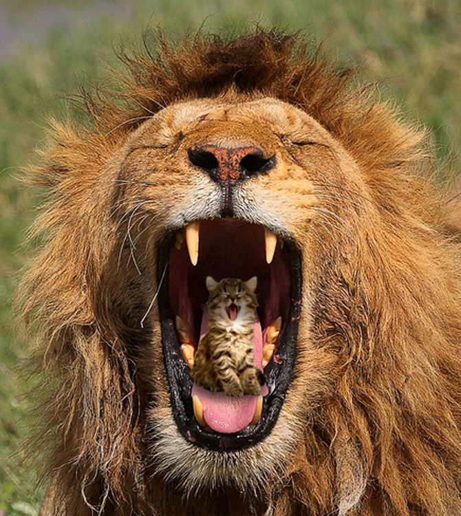 Photoshop Design by alesiphoto for DesignCrowd (Community Contests) | Design #8970433