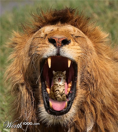 Photoshop Design by alesiphoto