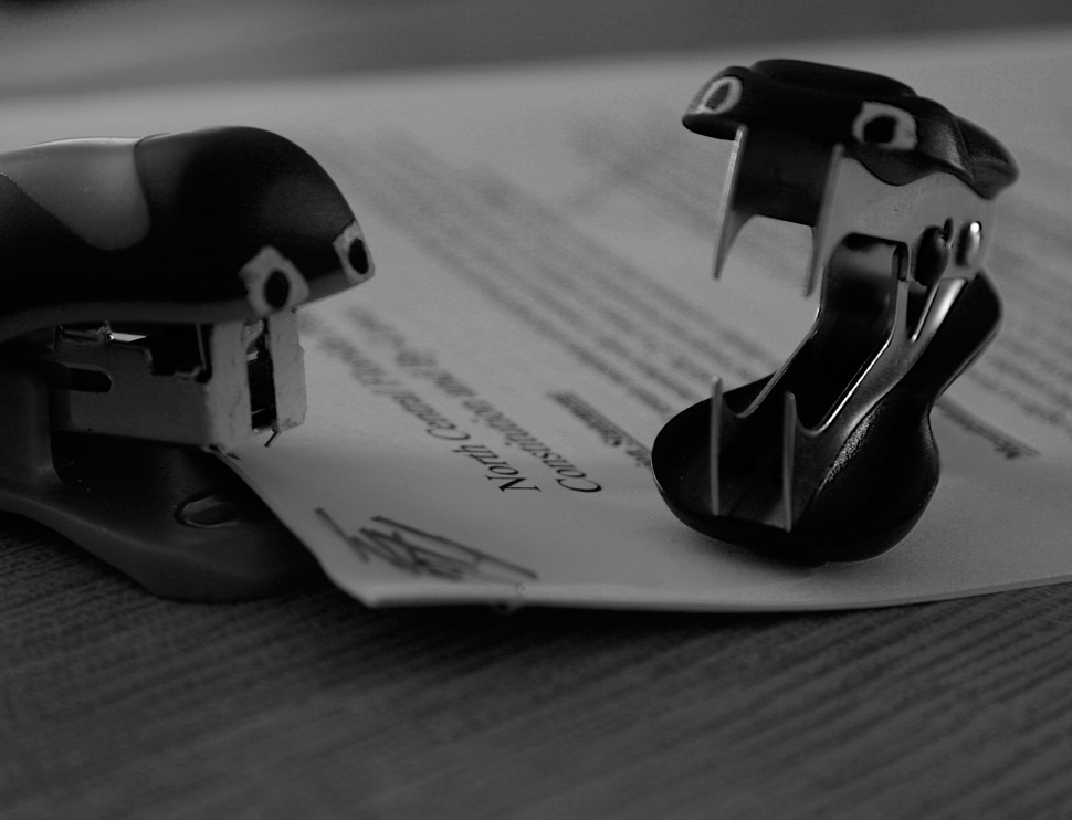 Photography by pinkfly for DesignCrowd (Community Contests) | Design #8968874